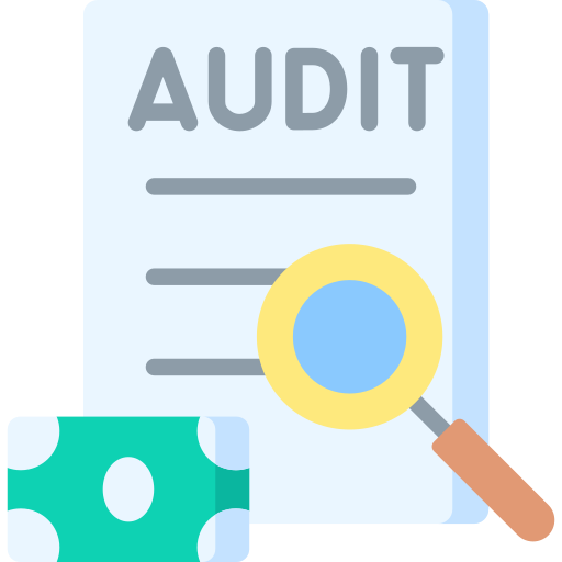 IRS Audits